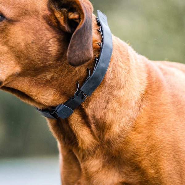 HS SPRENGER FLEXCOVER Cover for Prong Collar