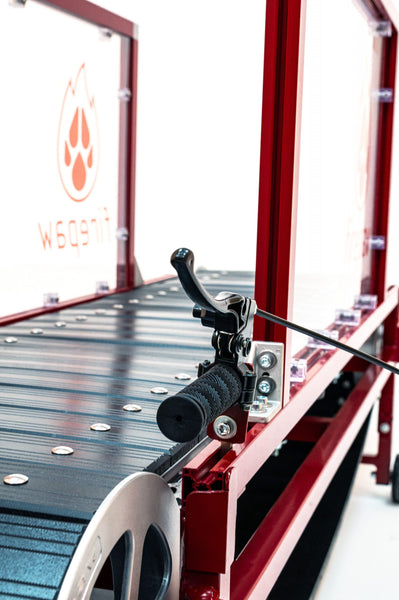 FIREPAW PHOENIX DOG TREADMILL – SLATMILL (LARGE & MED)